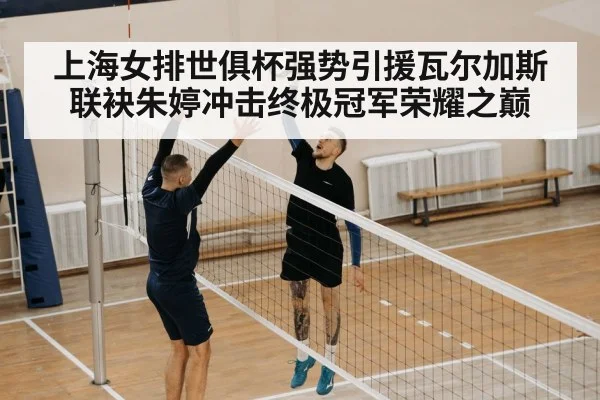 上海女排世俱杯强势引援瓦尔加斯联袂朱婷冲击终极冠军荣耀之巅