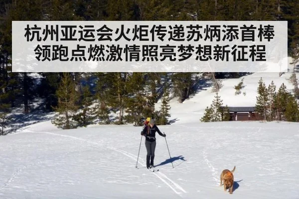杭州亚运会火炬传递苏炳添首棒领跑点燃激情照亮梦想新征程